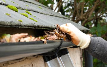 gutter cleaning Hollinwood